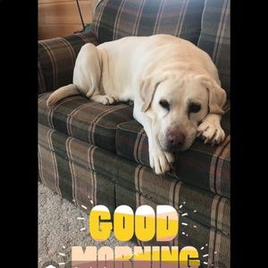 Meet your Posher, Barbara